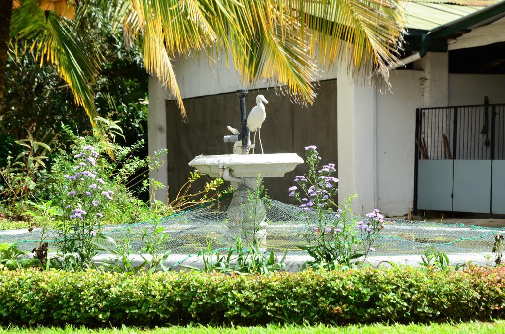 Homestay Wattarantanne *